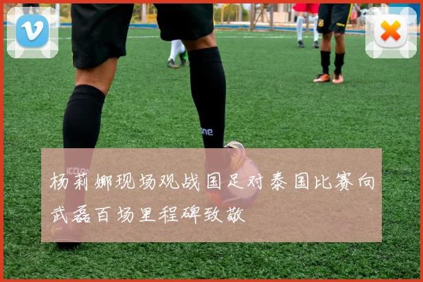 杨莉娜现场观战国足对泰国比赛向武磊百场里程碑致敬